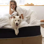 Materasso Ibrido a Molle e Memory Foam Lincove da 12 Pollici - Materasso Medio Rigido Certificato CertiPUR-US - Supporto Adattivo, Sollievo dalla Pressione - Prodotto negli USA