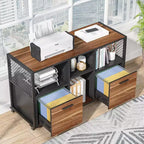 Tribesigns 2 Drawer Wood File Cabinet, Mobile Lateral Filing Cabine with Storage Shelves