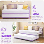 Garvee Twin Metal Daybed and Trundle, Sofa Bed - Room & Joy