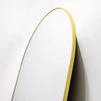 HOMLUX Specchio Ovale da Parete Decorativo a Figura Intera 40x120 cm per Bagno Ingresso, Nero/Oro