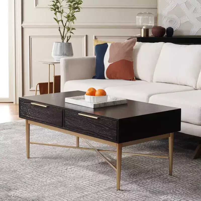 Pierre 2 Drawer Coffee Table - Safavieh