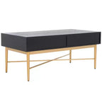 Pierre 2 Drawer Coffee Table - Safavieh