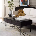 Pierre 2 Drawer Coffee Table - Safavieh