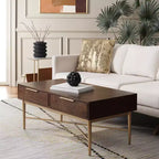 Pierre 2 Drawer Coffee Table - Safavieh