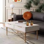 Pierre 2 Drawer Coffee Table - Safavieh