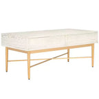 Pierre 2 Drawer Coffee Table - Safavieh