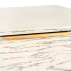Pierre 2 Drawer Coffee Table - Safavieh