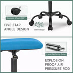 FDW Home Office Chair Mid Back Mesh Desk Chair Armless Computer Chair Rolling Swivel Chair with Lumbar Support