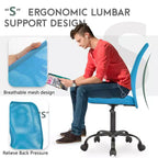 FDW Home Office Chair Mid Back Mesh Desk Chair Armless Computer Chair Rolling Swivel Chair with Lumbar Support