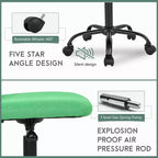 FDW Home Office Chair Mid Back Mesh Desk Chair Armless Computer Chair Rolling Swivel Chair with Lumbar Support