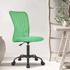 FDW Home Office Chair Mid Back Mesh Desk Chair Armless Computer Chair Rolling Swivel Chair with Lumbar Support