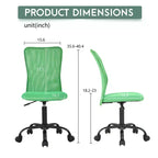 FDW Home Office Chair Mid Back Mesh Desk Chair Armless Computer Chair Rolling Swivel Chair with Lumbar Support