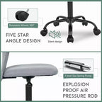 FDW Home Office Chair Mid Back Mesh Desk Chair Armless Computer Chair Rolling Swivel Chair with Lumbar Support