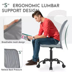 FDW Home Office Chair Mid Back Mesh Desk Chair Armless Computer Chair Rolling Swivel Chair with Lumbar Support