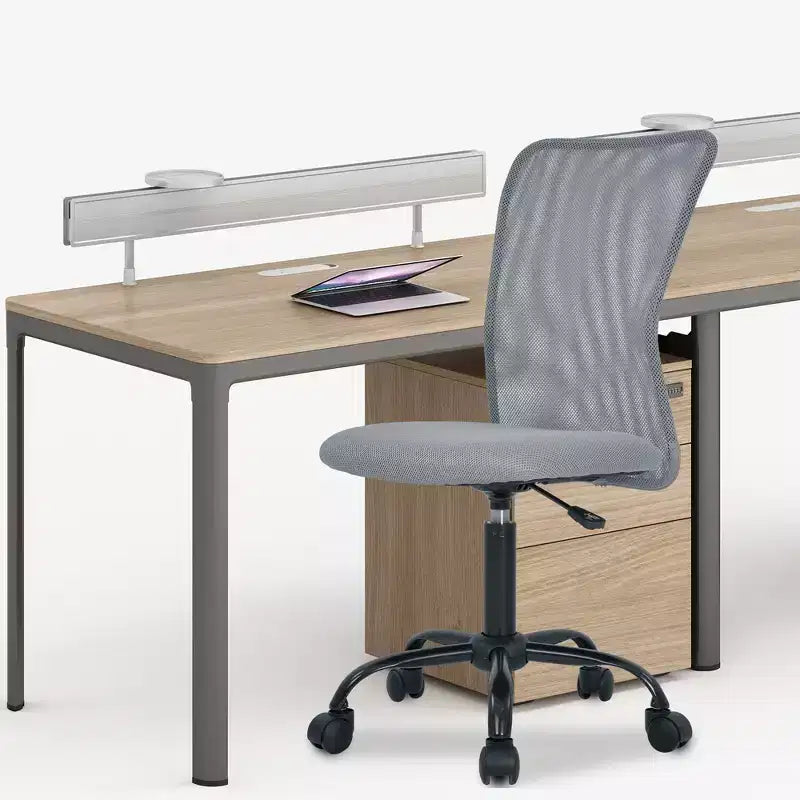 FDW Home Office Chair Mid Back Mesh Desk Chair Armless Computer Chair Rolling Swivel Chair with Lumbar Support