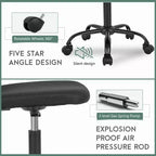 FDW Home Office Chair Mid Back Mesh Desk Chair Armless Computer Chair Rolling Swivel Chair with Lumbar Support