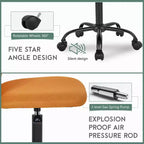 FDW Home Office Chair Mid Back Mesh Desk Chair Armless Computer Chair Rolling Swivel Chair with Lumbar Support