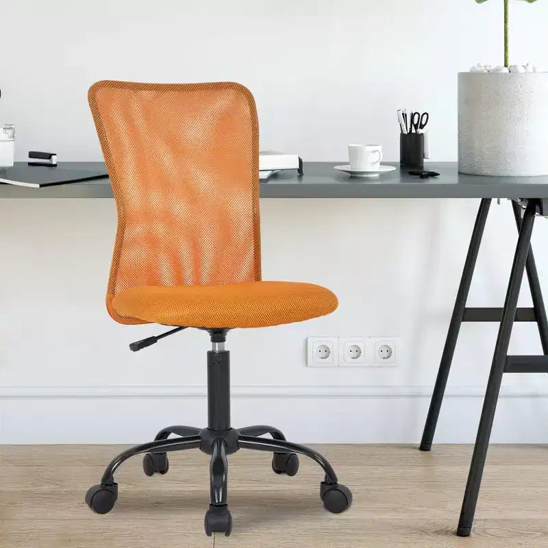 FDW Home Office Chair Mid Back Mesh Desk Chair Armless Computer Chair Rolling Swivel Chair with Lumbar Support