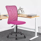 FDW Home Office Chair Mid Back Mesh Desk Chair Armless Computer Chair Rolling Swivel Chair with Lumbar Support