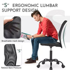 FDW Home Office Chair Mid Back Mesh Desk Chair Armless Computer Chair Rolling Swivel Chair with Lumbar Support