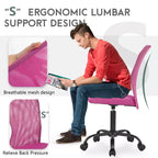 FDW Home Office Chair Mid Back Mesh Desk Chair Armless Computer Chair Rolling Swivel Chair with Lumbar Support