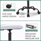 FDW Home Office Chair Mid Back Mesh Desk Chair Armless Computer Chair Rolling Swivel Chair with Lumbar Support