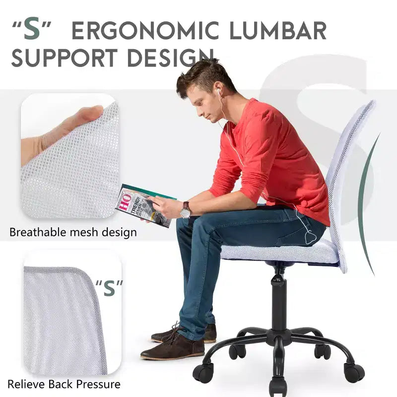 FDW Home Office Chair Mid Back Mesh Desk Chair Armless Computer Chair Rolling Swivel Chair with Lumbar Support
