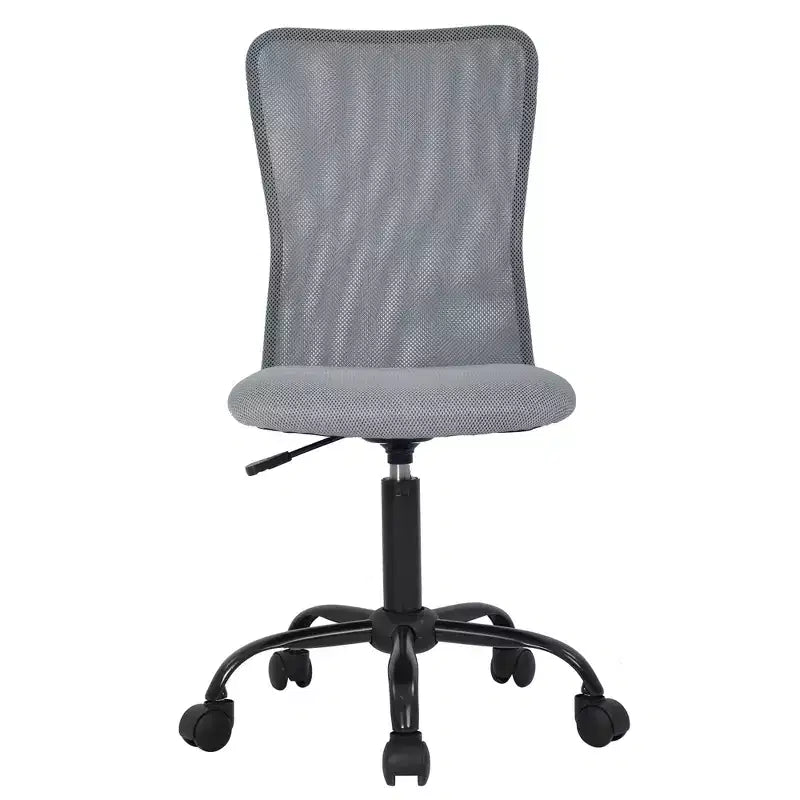 FDW Home Office Chair Mid Back Mesh Desk Chair Armless Computer Chair Rolling Swivel Chair with Lumbar Support
