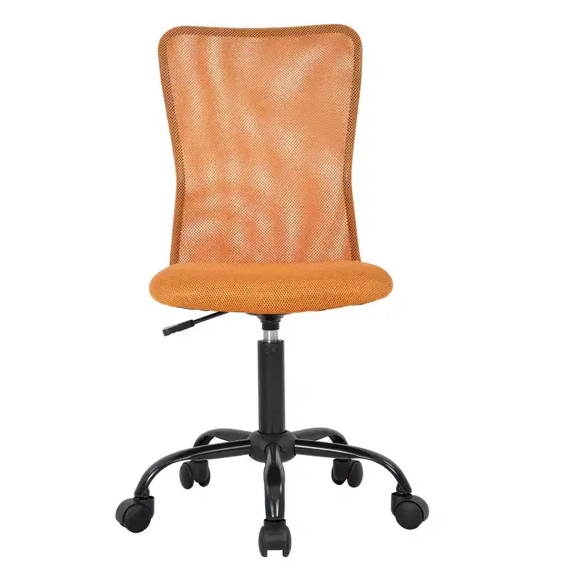 FDW Home Office Chair Mid Back Mesh Desk Chair Armless Computer Chair Rolling Swivel Chair with Lumbar Support