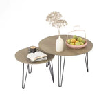 27.56'' Round Nesting Coffee Table Set of 2, Circular Nesting End Table Set, Round Wooden Tabletop, and Sturdy Metal Base