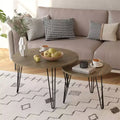 27.56'' Round Nesting Coffee Table Set of 2, Circular Nesting End Table Set, Round Wooden Tabletop, and Sturdy Metal Base