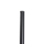 LeisureMod Oyster Sedie da pranzo trasparenti set da 2 Design a schienale curvo impilabile con gambe in acciaio inossidabile nero per cucina o sala da pranzo