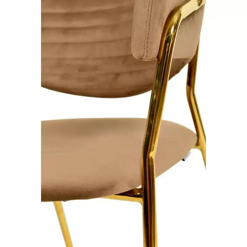 Sedia da pranzo LeisureMod imbottita in pelle e velluto, sedile e schienale ergonomici imbottiti, base resistente in acciaio inossidabile Poltrona di design Serie Bella