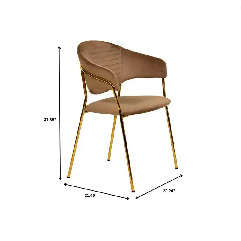 Sedia da pranzo LeisureMod imbottita in pelle e velluto, sedile e schienale ergonomici imbottiti, base resistente in acciaio inossidabile Poltrona di design Serie Bella