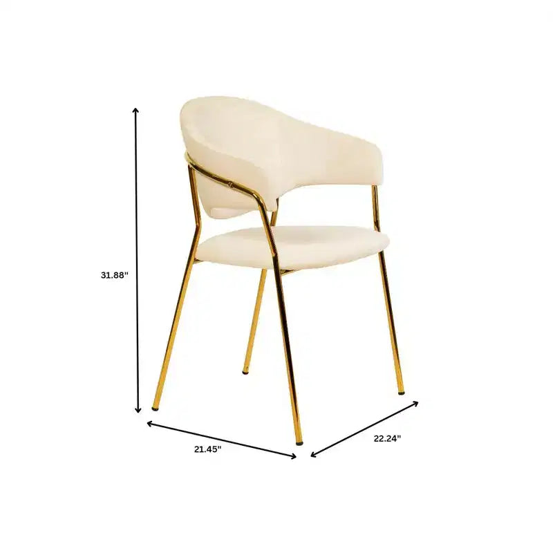 Sedia da pranzo LeisureMod imbottita in pelle e velluto, sedile e schienale ergonomici imbottiti, base resistente in acciaio inossidabile Poltrona di design Serie Bella