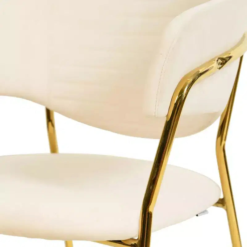 Sedia da pranzo LeisureMod imbottita in pelle e velluto, sedile e schienale ergonomici imbottiti, base resistente in acciaio inossidabile Poltrona di design Serie Bella