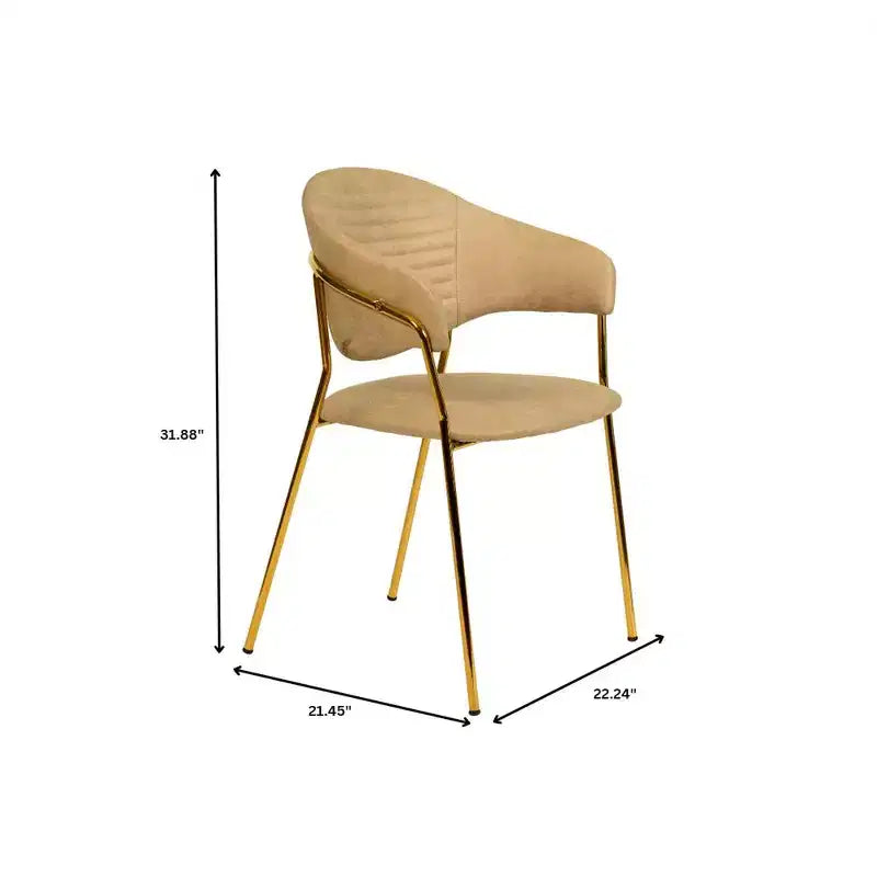 Sedia da pranzo LeisureMod imbottita in pelle e velluto, sedile e schienale ergonomici imbottiti, base resistente in acciaio inossidabile Poltrona di design Serie Bella