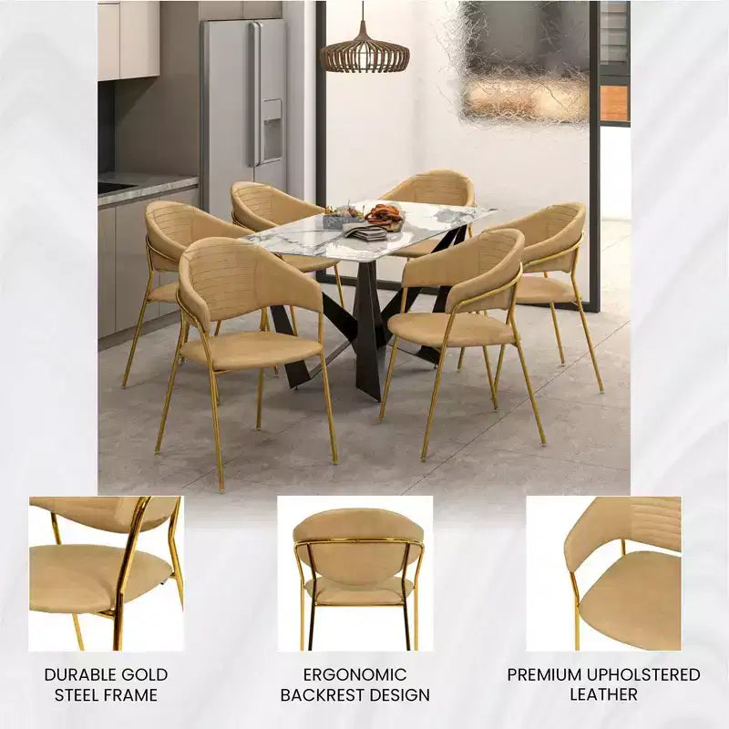 Sedia da pranzo LeisureMod imbottita in pelle e velluto, sedile e schienale ergonomici imbottiti, base resistente in acciaio inossidabile Poltrona di design Serie Bella