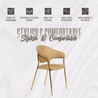 Sedia da pranzo LeisureMod imbottita in pelle e velluto, sedile e schienale ergonomici imbottiti, base resistente in acciaio inossidabile Poltrona di design Serie Bella