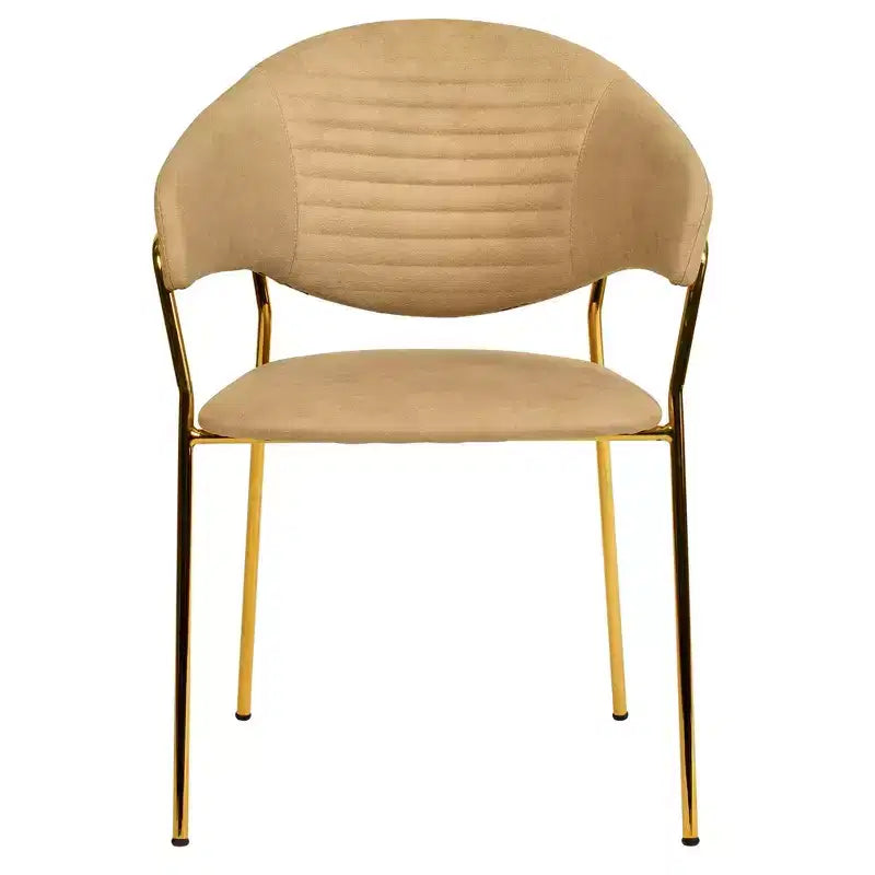 Sedia da pranzo LeisureMod imbottita in pelle e velluto, sedile e schienale ergonomici imbottiti, base resistente in acciaio inossidabile Poltrona di design Serie Bella