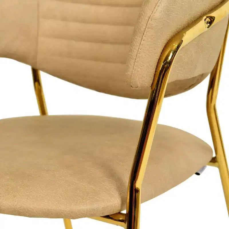 Sedia da pranzo LeisureMod imbottita in pelle e velluto, sedile e schienale ergonomici imbottiti, base resistente in acciaio inossidabile Poltrona di design Serie Bella