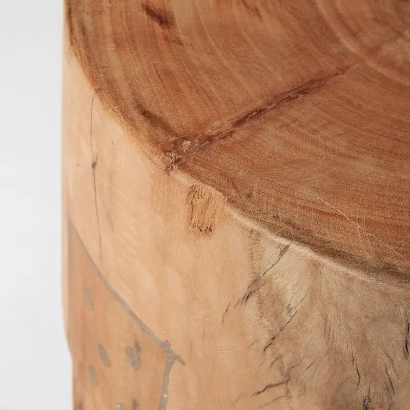 Asco Rustic Solid Reclaimed Wood Stool