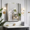 PexFix 26x20 Rectangle Recessed/Surface Mount Medicine Cabinet with Mirror
