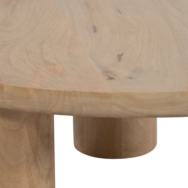 Sagebrook Home Elegante coppia di tavolini da caffè Boho in legno di mango per case moderne