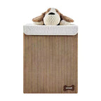 Danya B. Collapsible Folding Corduroy Kids' Laundry Hamper Toy Storage
