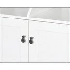 Saint Birch Finley White 2-Door Vertical Filing Cabinet with Hidden Storage