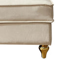 French Elegant Velvet Upholstered Storage Chaise Lounge Chair with a Pillow