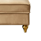 French Elegant Velvet Upholstered Storage Chaise Lounge Chair with a Pillow